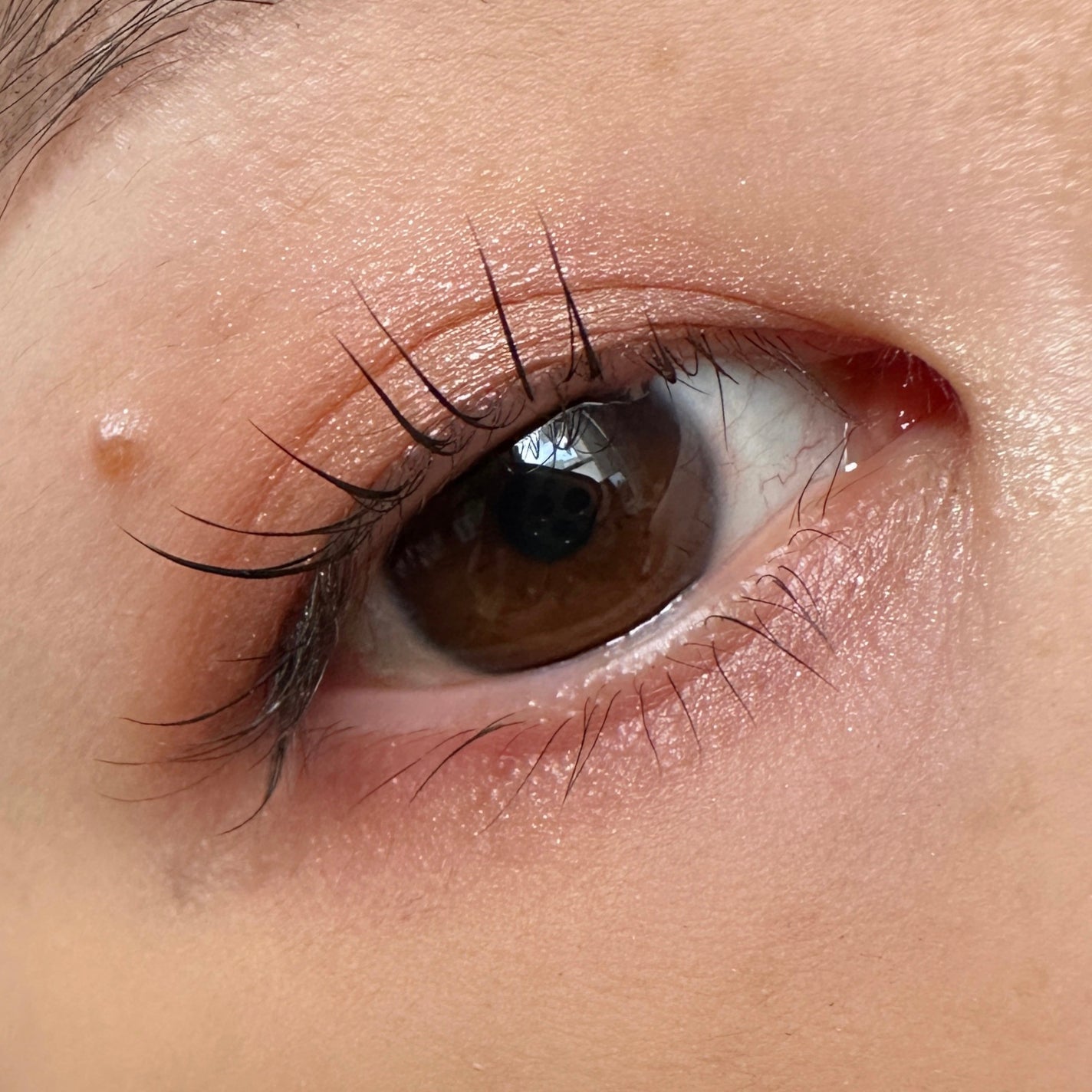 ディオールショウ サンク クルール/Dior/アイシャドウを使ったクチコミ(2枚目)