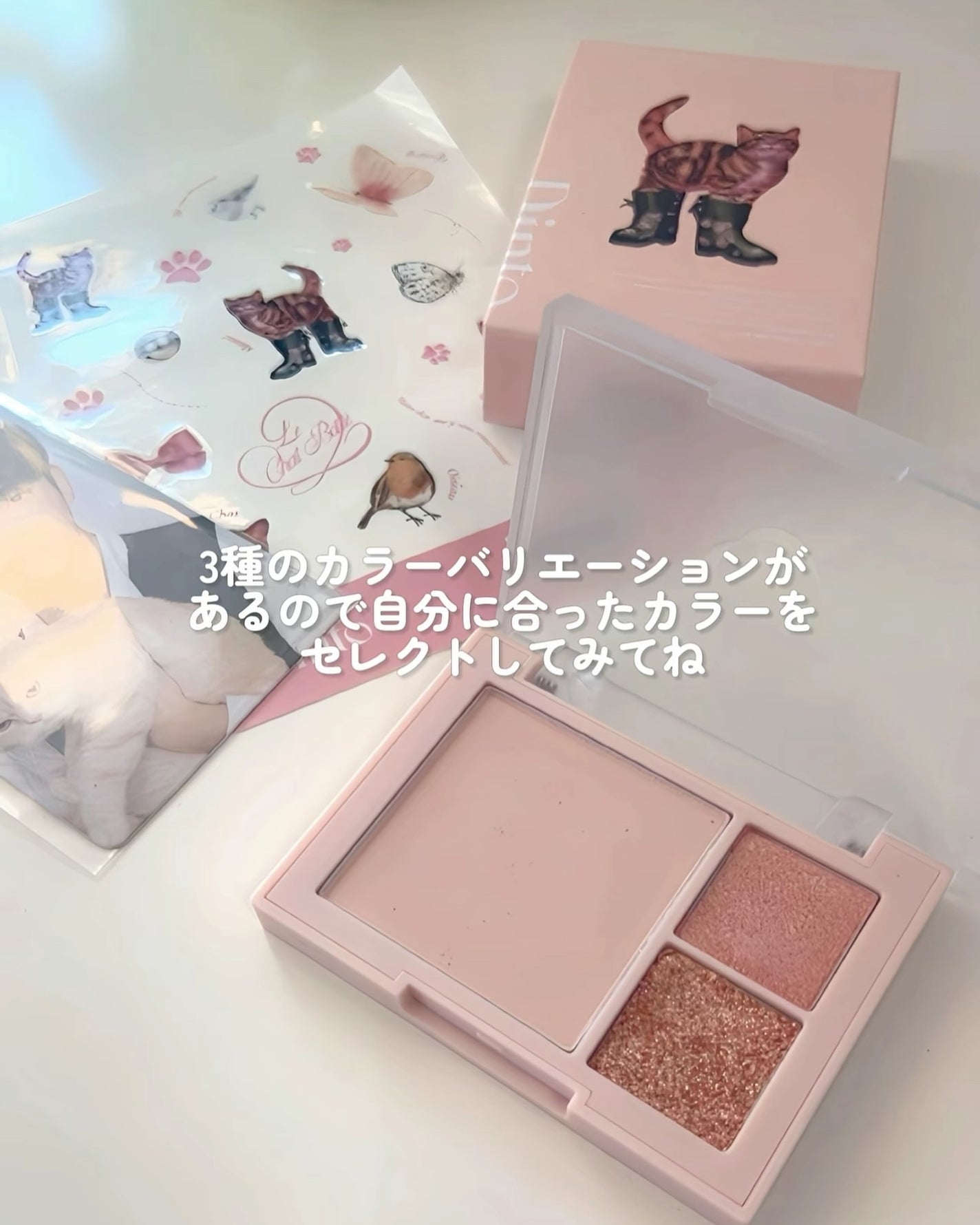 (ルシャブートコレクション)チーク&アイ マルチユーズ パレット/Dinto/パウダーチークを使ったクチコミ(7枚目)