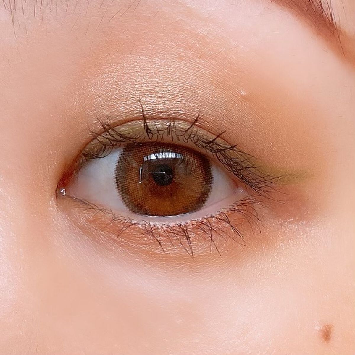 【旧】サンク クルール クチュール/Dior/アイシャドウパレットを使ったクチコミ（3枚目）