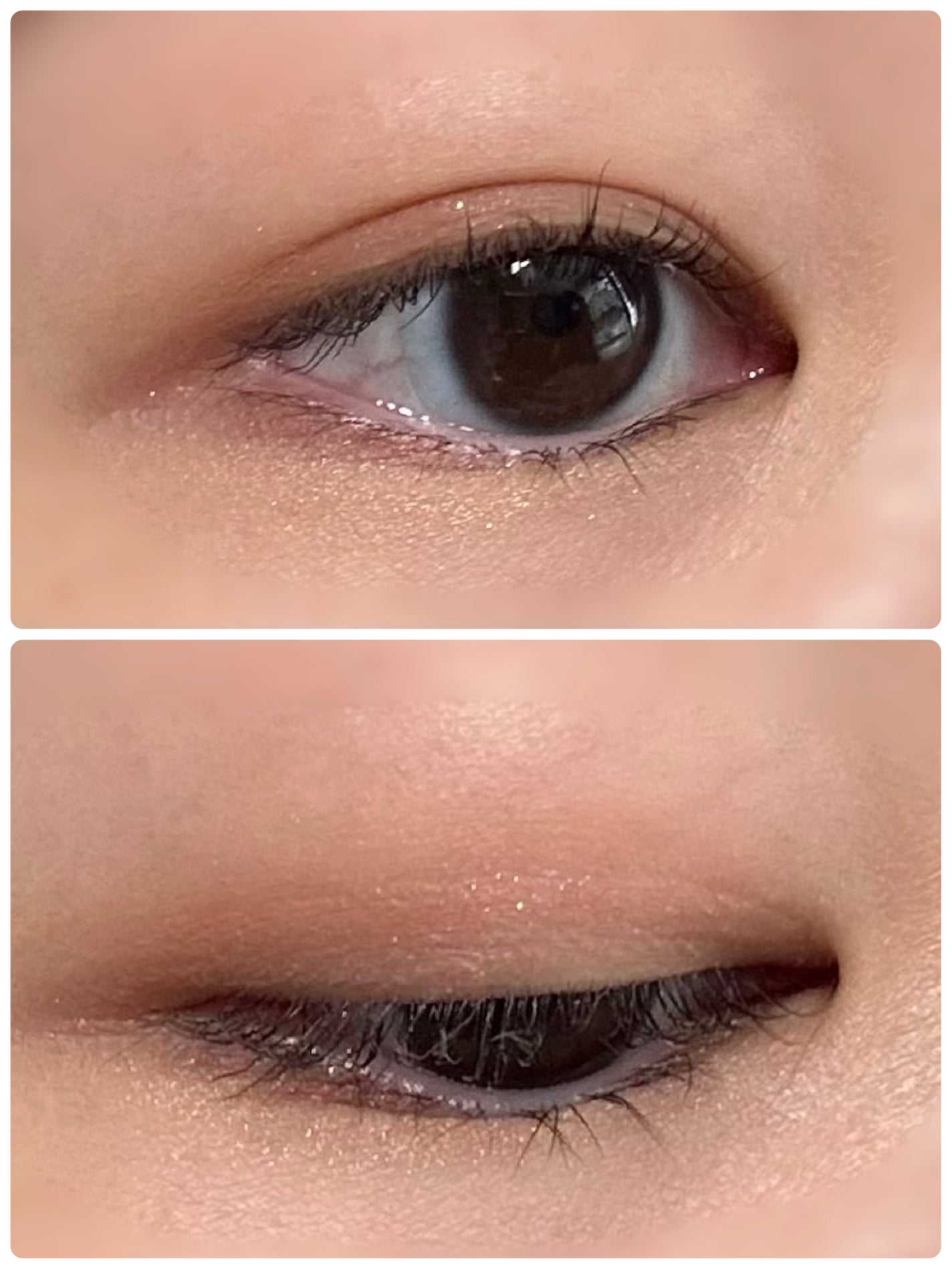 シャドーフラッシュ /MAJOLICA MAJORCA/アイシャドウパレットを使ったクチコミ(3枚目)