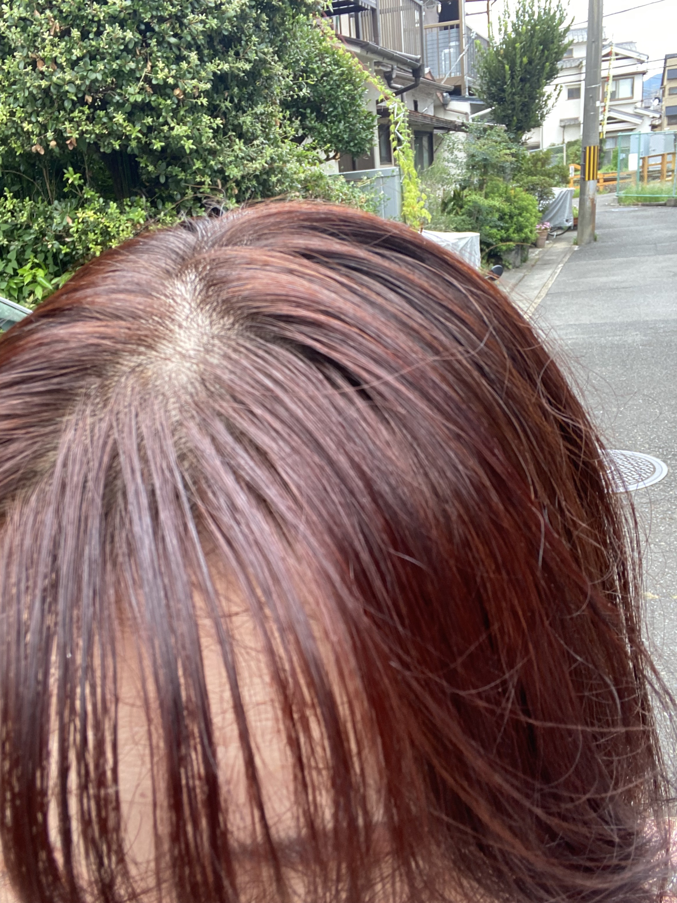 ヘアカラーミルキー 2 より明るいライトブラウン/CIELO/ヘアカラーを使ったクチコミ（2枚目）