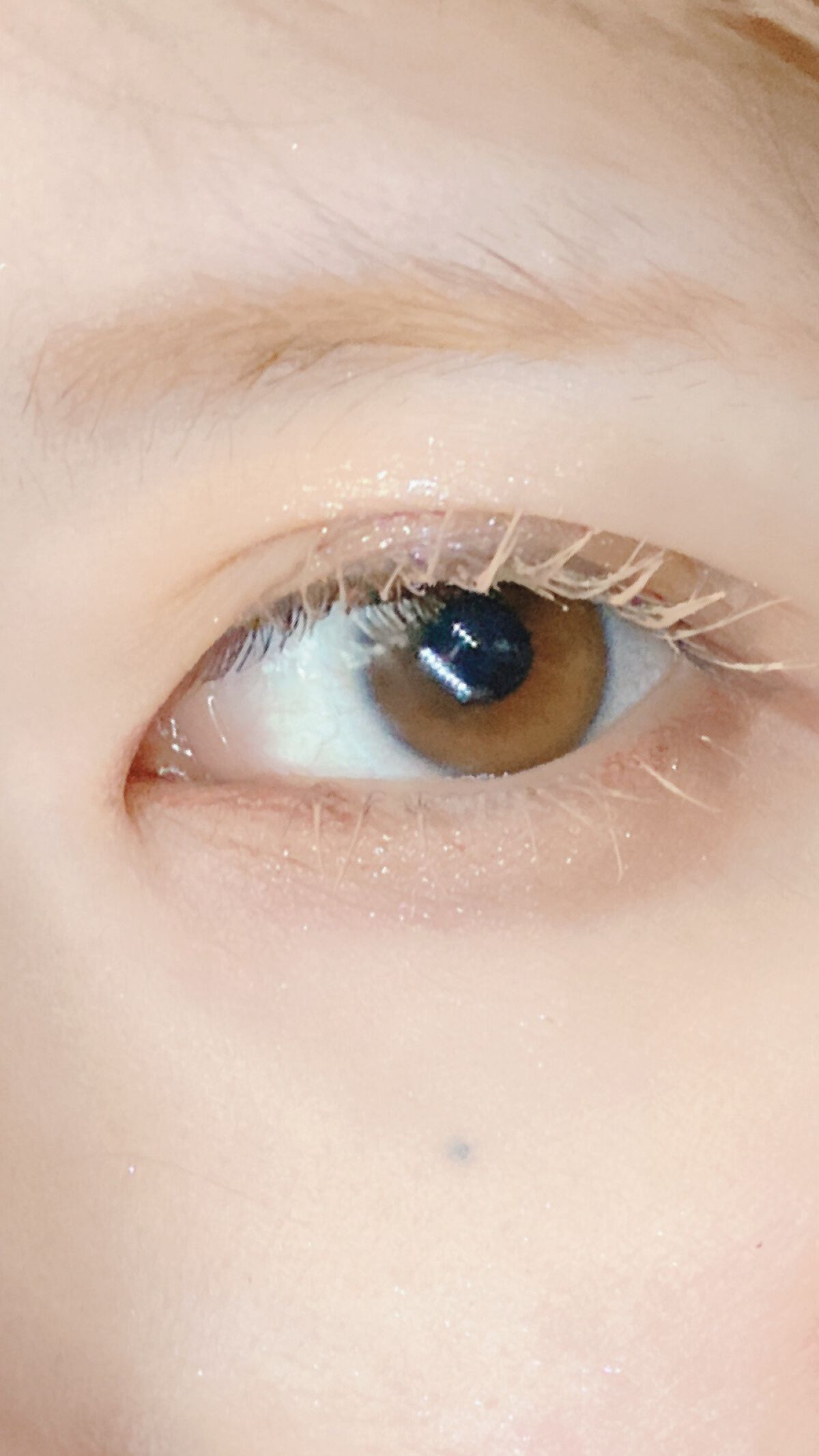 xixi アイシャドウ/xixi/アイシャドウパレットを使ったクチコミ(3枚目)