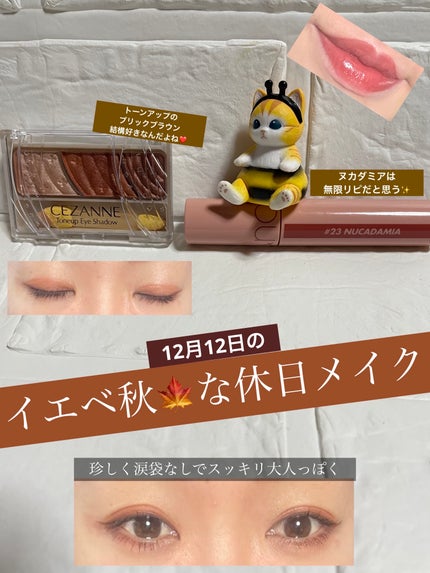 トーンアップアイシャドウ/CEZANNE/アイシャドウパレットを使ったクチコミ(1枚目)