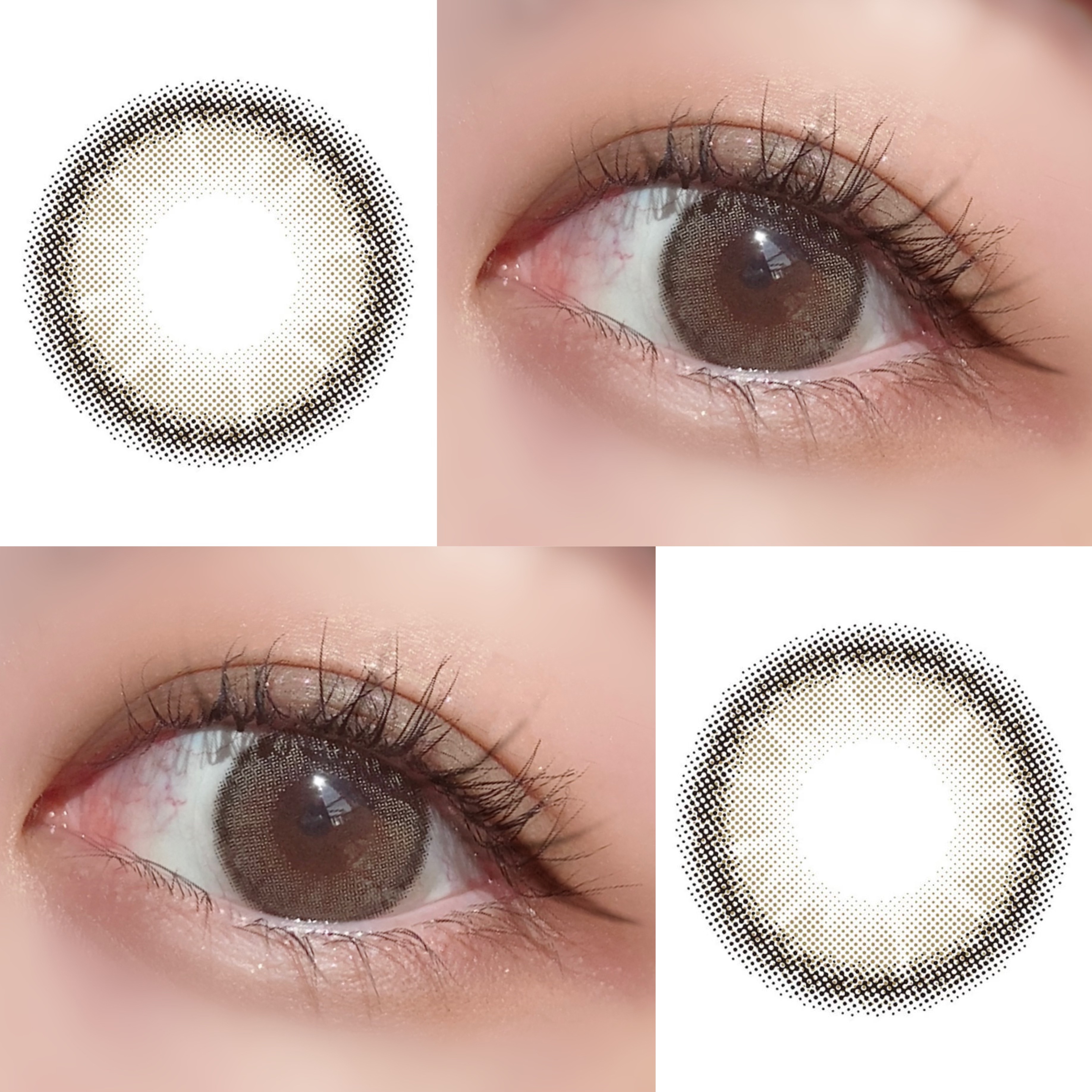 MOLAK 1day ダズルグレー/MOLAK/ワンデー（１DAY）カラコンを使ったクチコミ（2枚目）