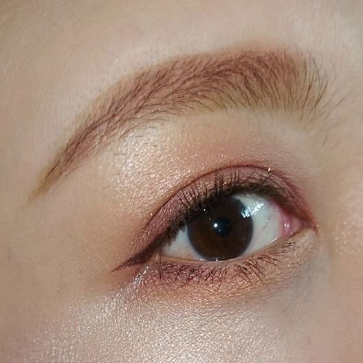 レ キャトル オンブル/CHANEL/アイシャドウパレットを使ったクチコミ(5枚目)