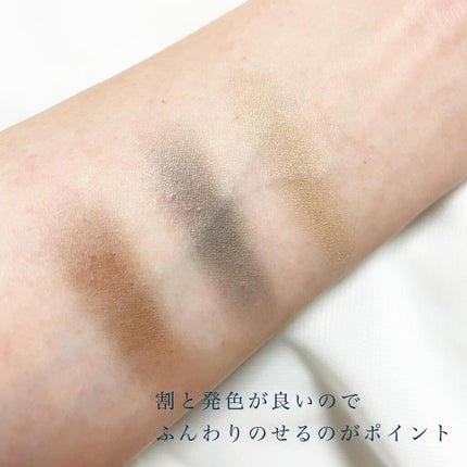 ヴィセ リシェ アイブロウパウダー/Visée/パウダーアイブロウを使ったクチコミ(4枚目)