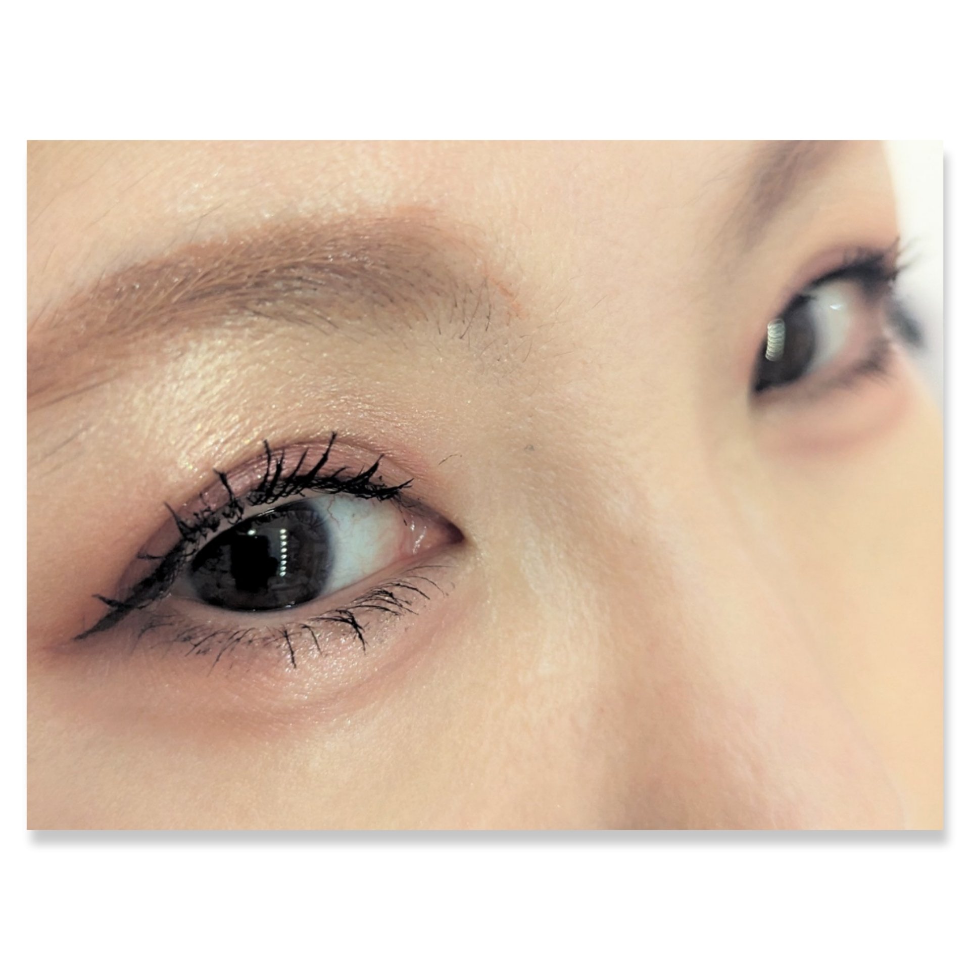 ジュエリーシャドウベール/キャンメイク/アイシャドウパレットを使ったクチコミ（2枚目）