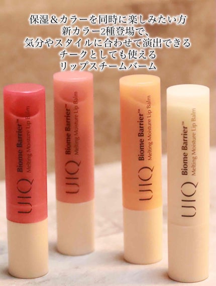 バイオームバリアメルティングモイスチャーリップバーム/UIQ/リップバームを使ったクチコミ(3枚目)
