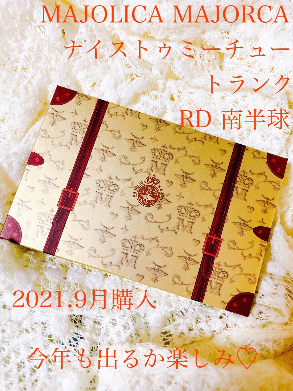 ナイストゥミーチュートランク/MAJOLICA MAJORCA/アイシャドウパレットを使ったクチコミ(1枚目)