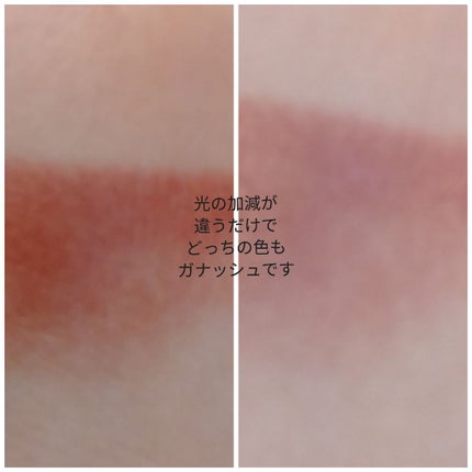 WHY NOT SPINNS マットリップスティック/DAISO/口紅を使ったクチコミ(3枚目)