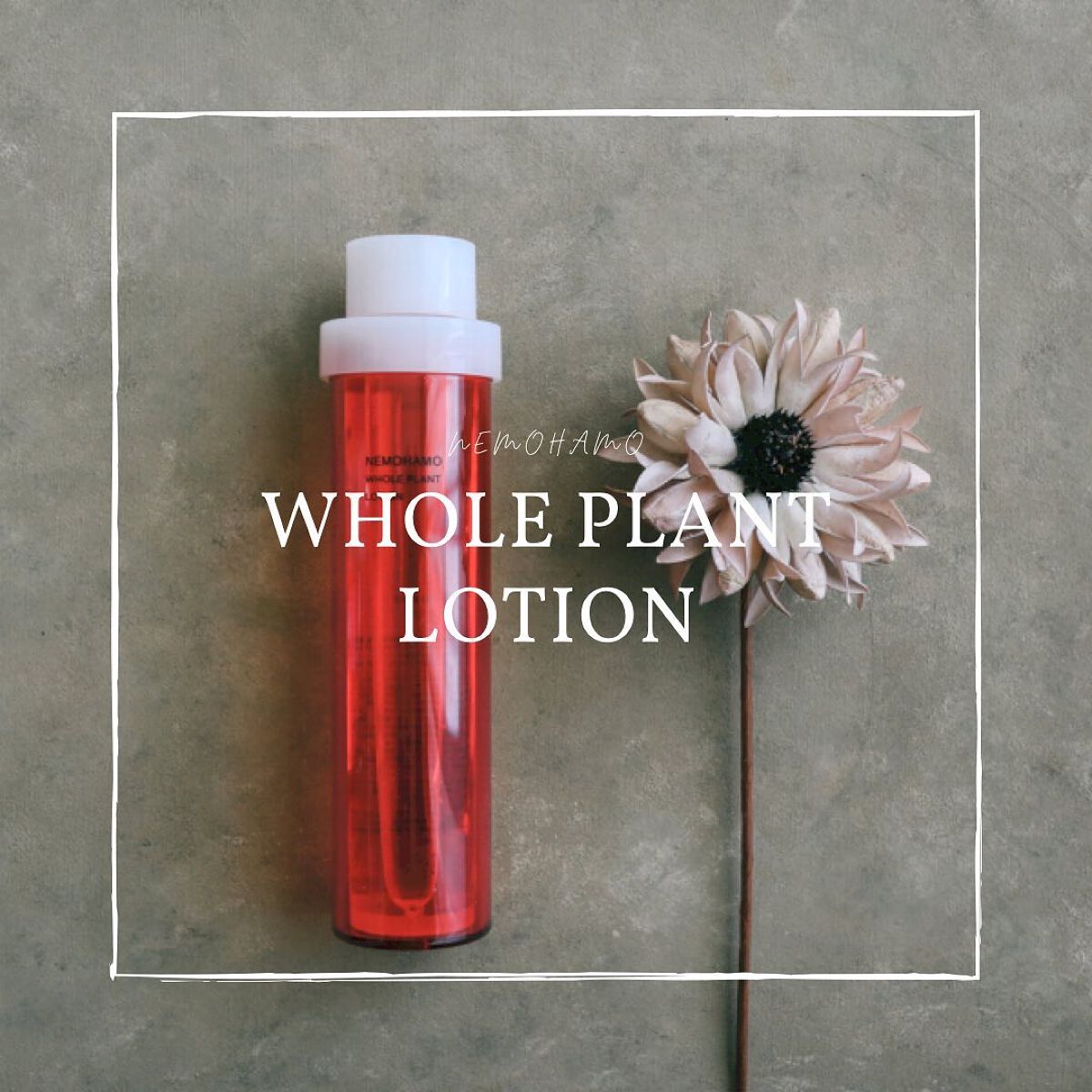 バランススキンローション/NEMOHAMO/化粧水を使ったクチコミ（1枚目）