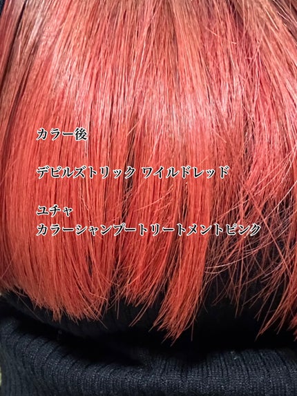 デビルズトリック/クイスクイス/ヘアカラーを使ったクチコミ(3枚目)
