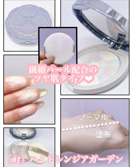 イルミネイティングフィニッシュパウダー ~Abloom~/キャンメイク/プレストパウダーを使ったクチコミ(2枚目)