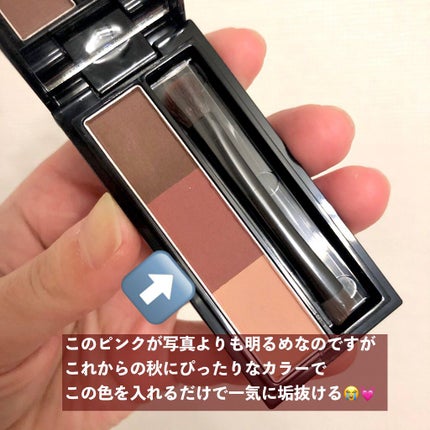 ヴィセ リシェ アイブロウパウダー/Visée/パウダーアイブロウを使ったクチコミ(3枚目)