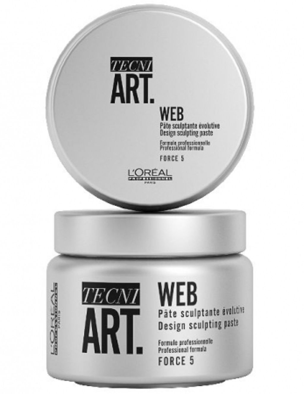 ロレアル プロフェッショナル テクニアート ウェブ