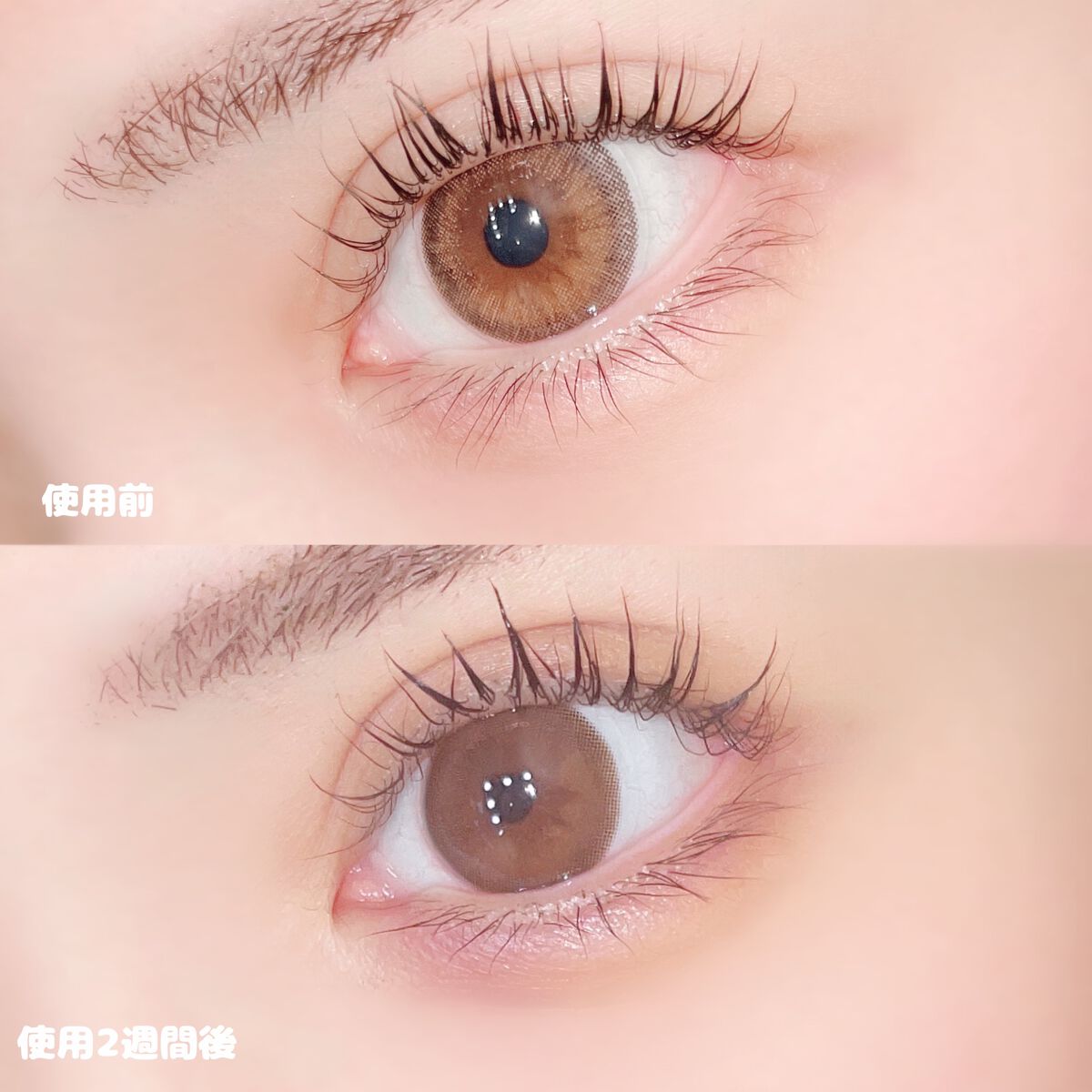 アイラッシュセラム/wonderfay/まつげ美容液を使ったクチコミ（2枚目）