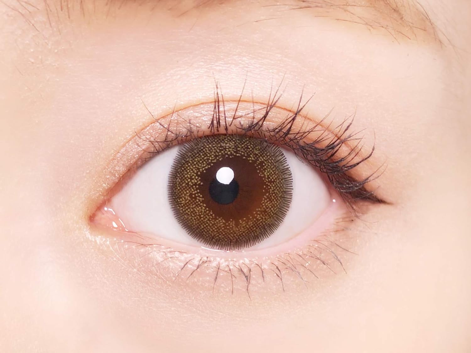 オリーブバニー