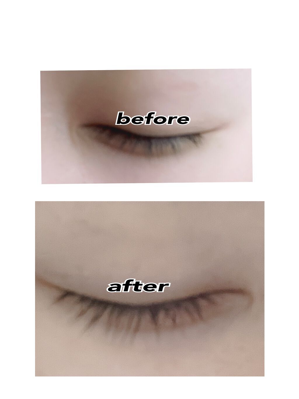 ステムアイラッシュセラム/セルコード/まつげ美容液を使ったクチコミ(4枚目)