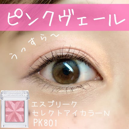セレクト アイカラー N/ESPRIQUE/単色アイシャドウを使ったクチコミ(1枚目)