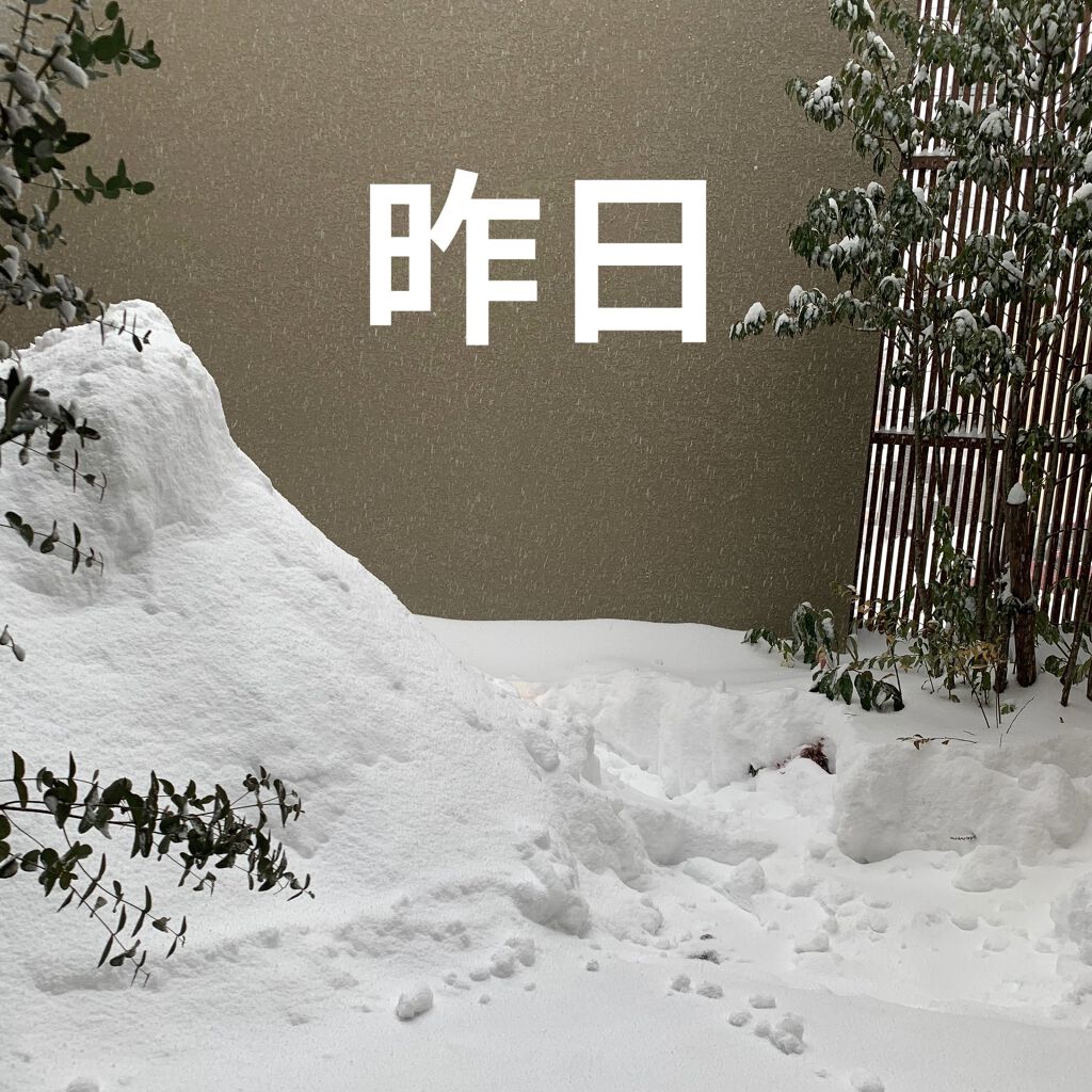 DS ライン コンセントレート 12.5 C/Kiehl's/美容液を使ったクチコミ（3枚目）