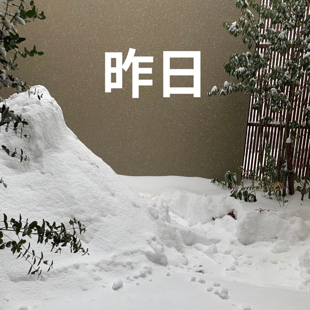 クリーム UFC/Kiehl's/フェイスクリームを使ったクチコミ(3枚目)