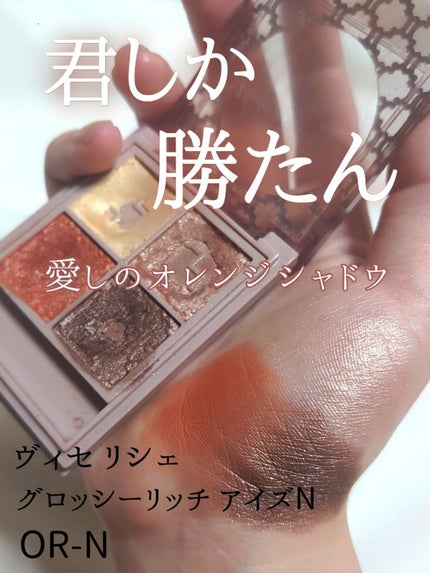 グロッシーリッチ アイズ N/Visée/アイシャドウパレットを使ったクチコミ(1枚目)