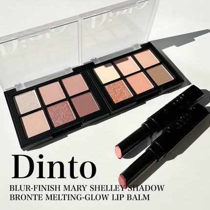 ブラーフィニシュシャドウパレット/Dinto/アイシャドウパレットを使ったクチコミ(1枚目)