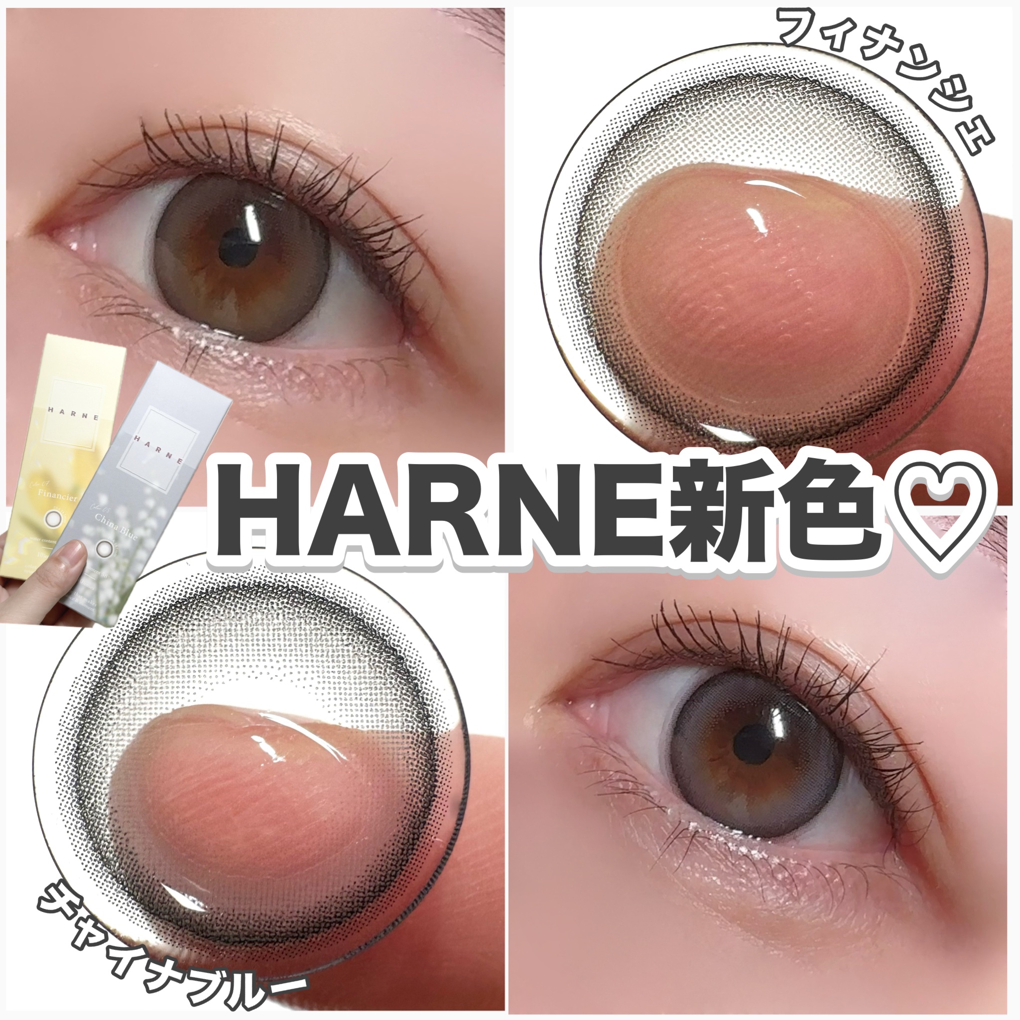 HARNE 1day フィナンシェ/HARNE/ワンデー（１DAY）カラコンを使ったクチコミ（1枚目）
