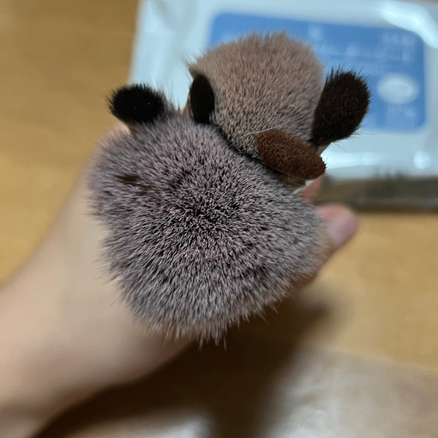 ドライメイクブラシクリーニングスポンジ/キャンドゥ/その他化粧小物を使ったクチコミ(3枚目)