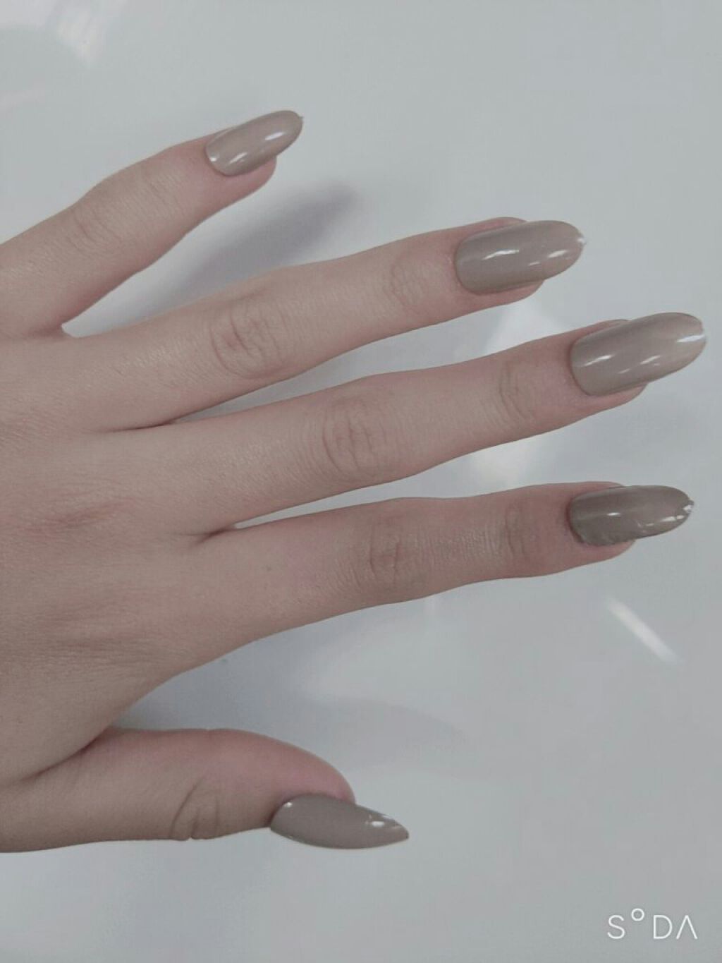 ネイルチップオーバルタイプ/DAISO/ネイルチップ・パーツを使ったクチコミ(1枚目)