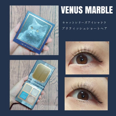 Venus Marble アイシャドウキャットシリーズ ブリティッシュショートヘア/Venus Marble/パウダーアイシャドウを使ったクチコミ（1枚目）