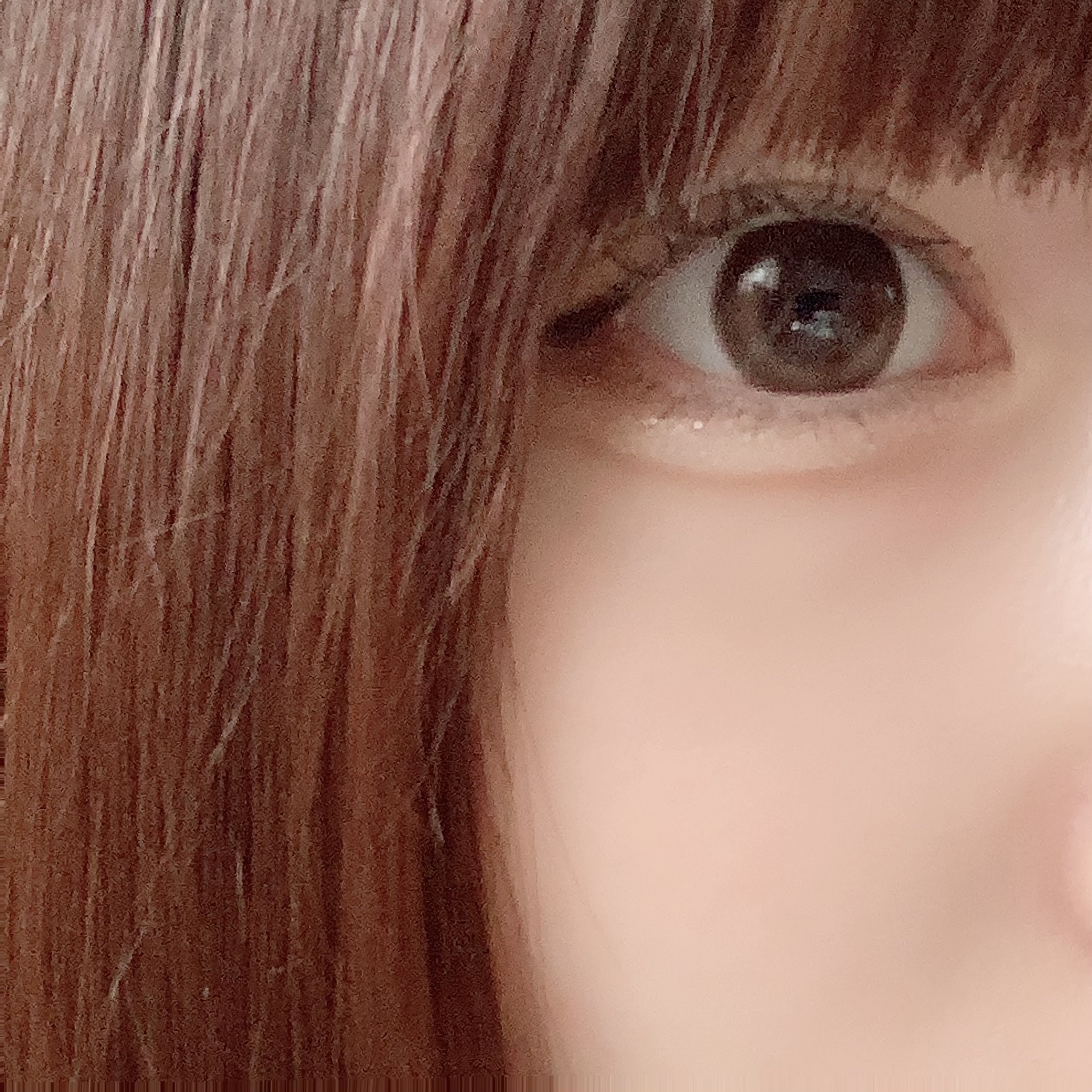 Cherry Moon 1day ブラウン/OLENS/カラーコンタクトレンズを使ったクチコミ（2枚目）