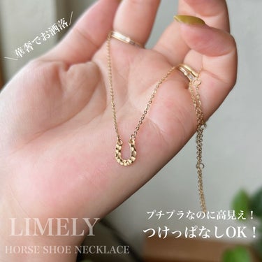 LINK CHAIN NECKLACE [GOLD]/LIMELY/その他を使ったクチコミ（1枚目）