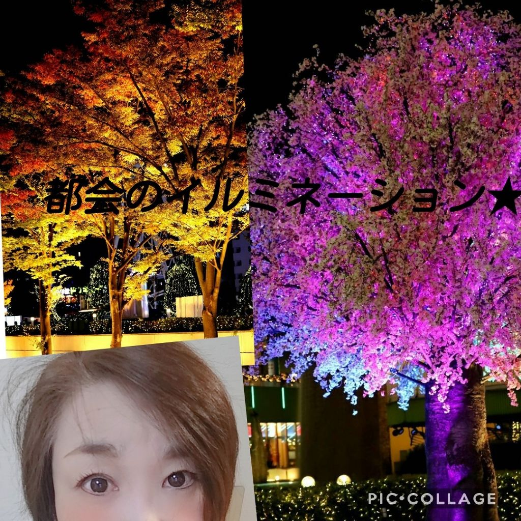 カラーフィルターシャドウパレット(ラインフレンズエディション)/MISSHA/アイシャドウパレットを使ったクチコミ(2枚目)