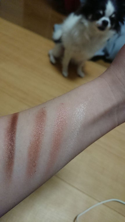 スキニーリッチシャドウ/excel/アイシャドウパレットを使ったクチコミ(2枚目)