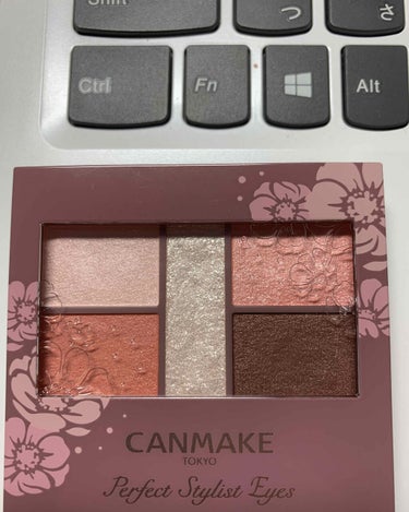 CANMAKEパーフェクトスタイリストアイズNo.22アプリコットピーチ

可愛らしいピンクに惹かれ、購入。完全に左下の色目当てで買いました。

パーフェクトスタイリストアイズは粉っぽい、というイメージ