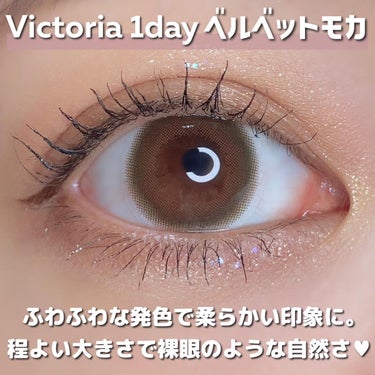 Victoria(ヴィクトリア）1day Velvet Moca/Victoria/ワンデー（１DAY）カラコンを使ったクチコミ（2枚目）