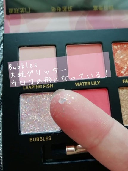 エクスプローラ12色 動物アイシャドウパレット/PERFECT DIARY/アイシャドウパレットを使ったクチコミ(4枚目)