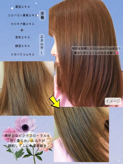 セラブルーチンシャンプー/Epunol/市販シャンプーを使ったクチコミ(3枚目)