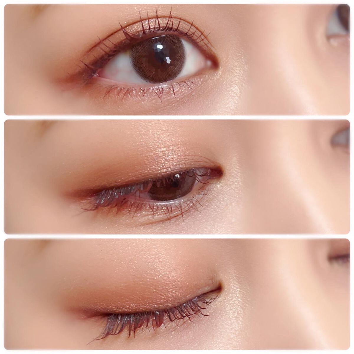 わんだふるアイカラー 03 ポメテラコッタ（テラコッタ系）/KIREI FACTORY/アイシャドウパレットを使ったクチコミ（2枚目）