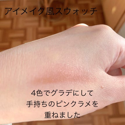 グロッシーリッチ アイズ N RD-6 ブラウニッシュレッド系/Visée/アイシャドウパレットの画像