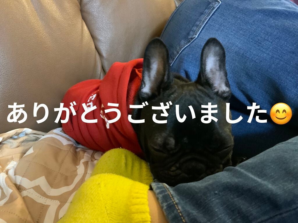 マホ on LIPS 「こんにちはこんばんは! 今回は、個人的にいいなと思うフィーノの..」(2枚目)