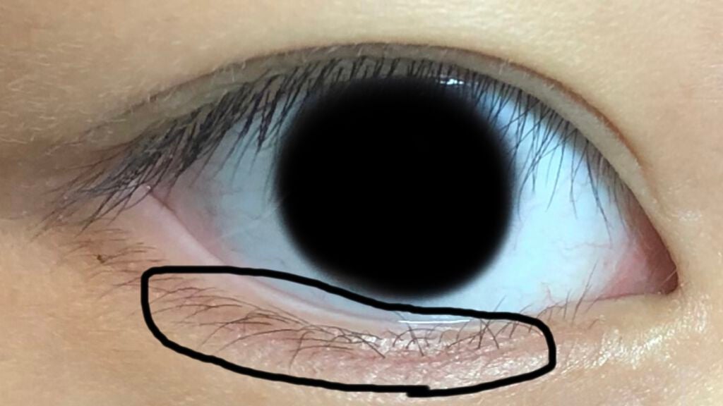 エグータム/アルマダスタイル/まつげ美容液を使ったクチコミ(2枚目)