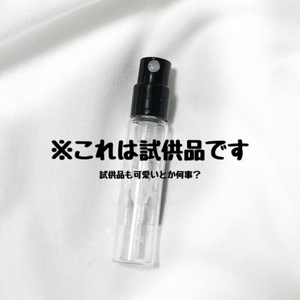 プレップ プライム フィックス+/M・A・C/ミスト状化粧水を使ったクチコミ(2枚目)