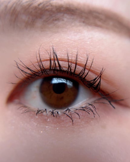 シルキースフレアイズ(マットタイプ)/キャンメイク/アイシャドウパレットを使ったクチコミ(4枚目)