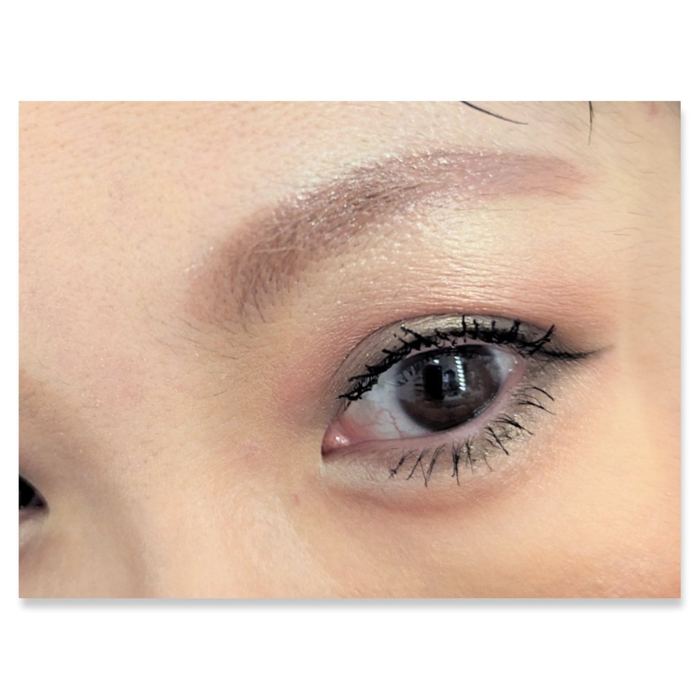 華やかに彩る アイカラー/キスミー フェルム/アイシャドウパレットを使ったクチコミ(4枚目)