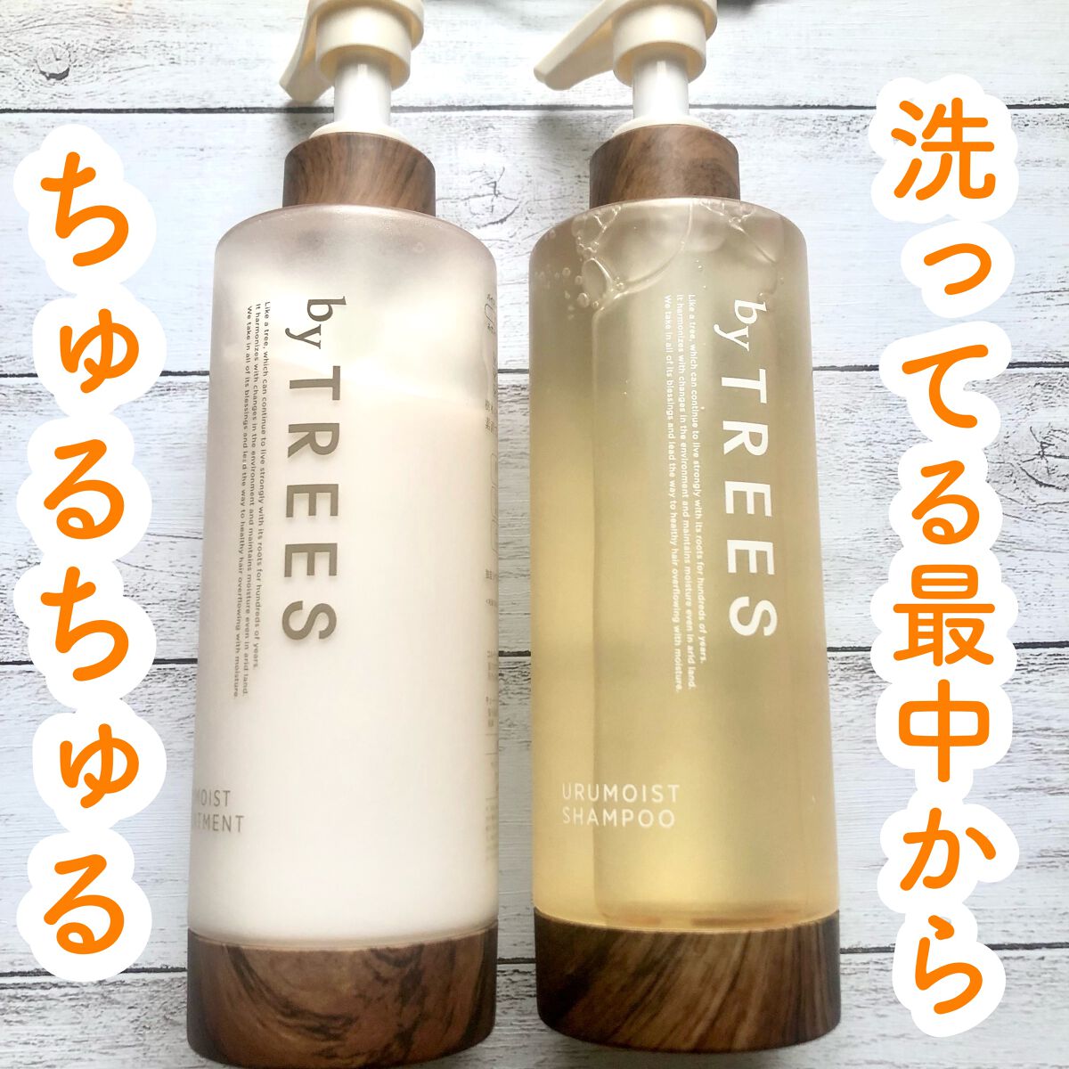 うるモイストシャンプー／トリートメント/byTREES/市販シャンプーを使ったクチコミ（1枚目）