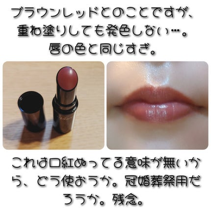 ネンマクフェイク ルージュ/Visée/口紅を使ったクチコミ(2枚目)