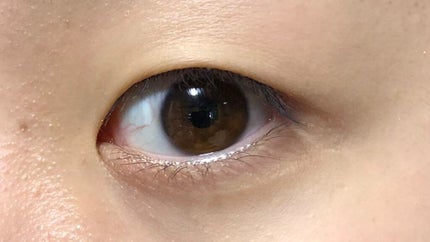 ハイライター/キャンメイク/パウダーハイライトを使ったクチコミ(3枚目)