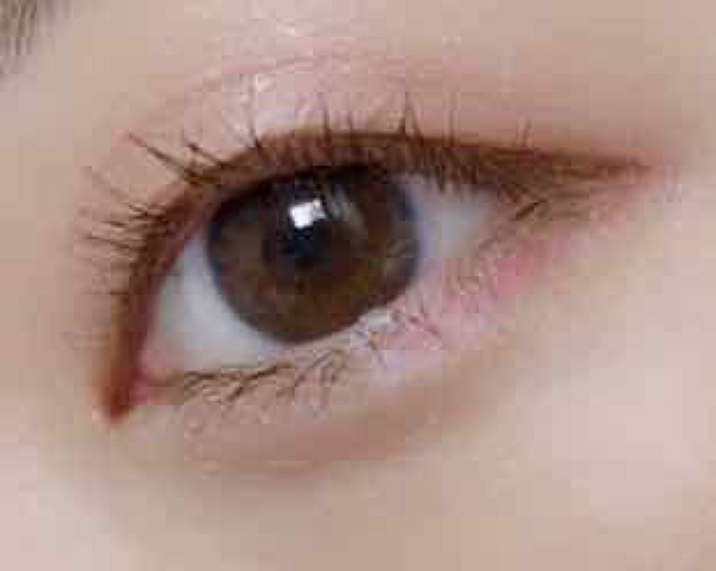 ウィンクグロウアイズ/キャンメイク/ジェル・クリームアイシャドウを使ったクチコミ（3枚目）